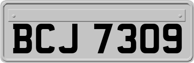 BCJ7309