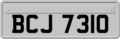 BCJ7310