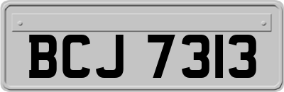 BCJ7313