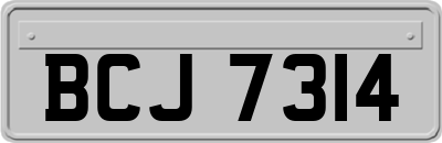 BCJ7314