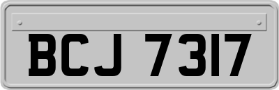 BCJ7317