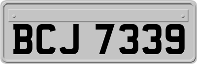 BCJ7339