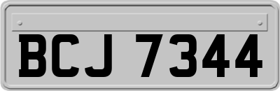 BCJ7344