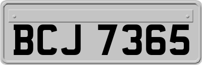 BCJ7365