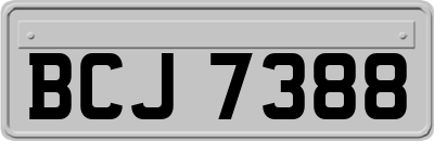 BCJ7388