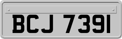 BCJ7391