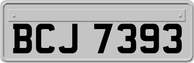 BCJ7393