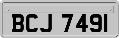BCJ7491