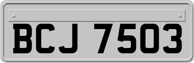BCJ7503