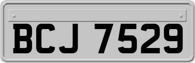 BCJ7529