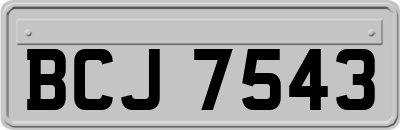 BCJ7543