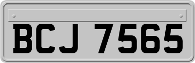 BCJ7565