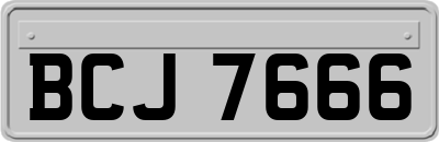 BCJ7666