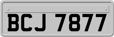 BCJ7877