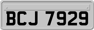 BCJ7929