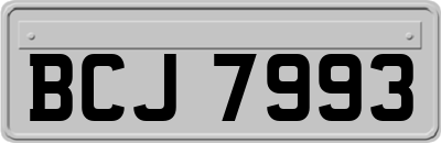 BCJ7993