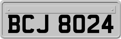 BCJ8024