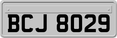 BCJ8029