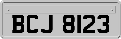 BCJ8123