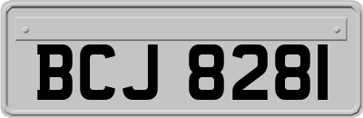 BCJ8281