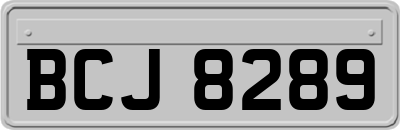 BCJ8289