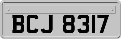 BCJ8317