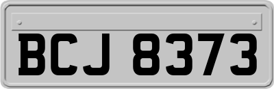 BCJ8373