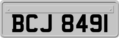 BCJ8491