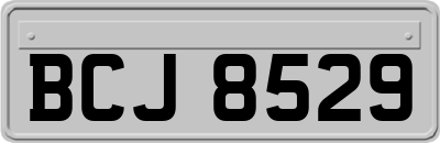 BCJ8529