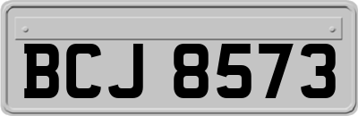 BCJ8573