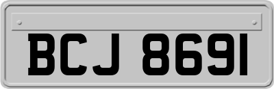 BCJ8691