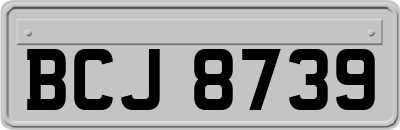 BCJ8739