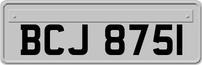 BCJ8751