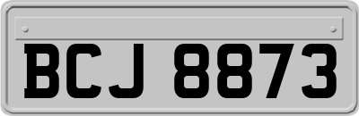 BCJ8873