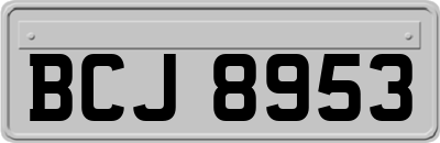 BCJ8953