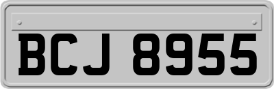 BCJ8955