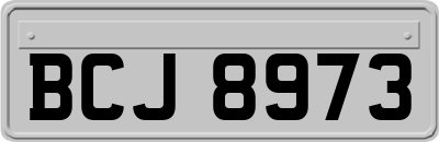 BCJ8973