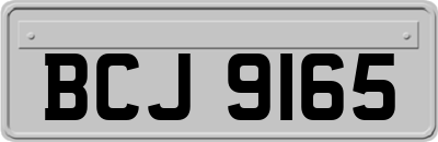 BCJ9165