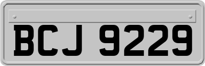 BCJ9229