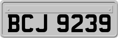 BCJ9239