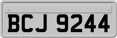 BCJ9244