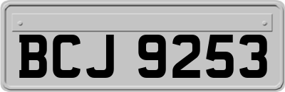 BCJ9253