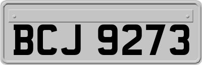BCJ9273
