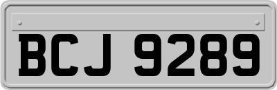 BCJ9289