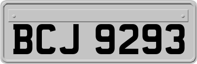 BCJ9293