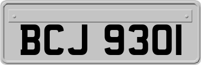 BCJ9301