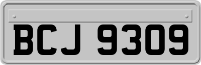 BCJ9309