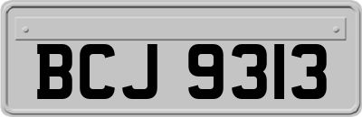 BCJ9313