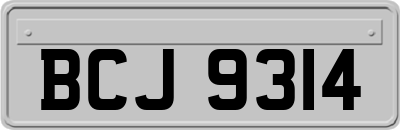 BCJ9314