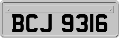 BCJ9316
